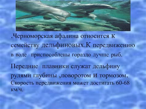 Альтернативы передвижению по воде
