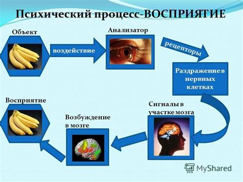 Анализируем аудиальные ощущения