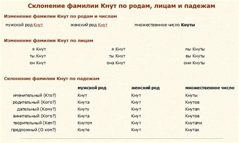 Анализ правильного склонения фамилии Жмышенко