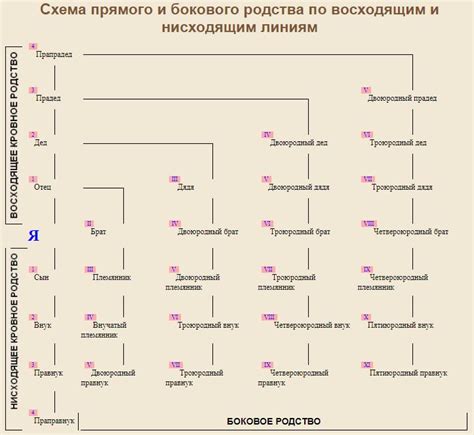 Анализ родственных связей с другими фамилиями