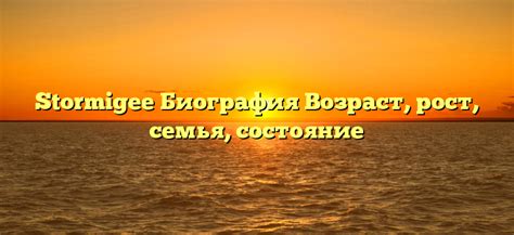 Биография Стормиджи