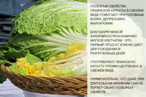 Богатый состав пекинской капусты и его полезность для ребенка