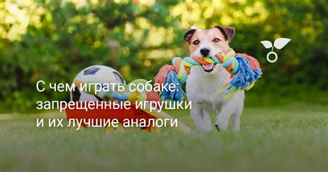 Важная информация для продавцов: запрещенные игрушки для торговли