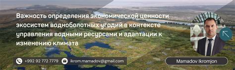 Важность определения стороны