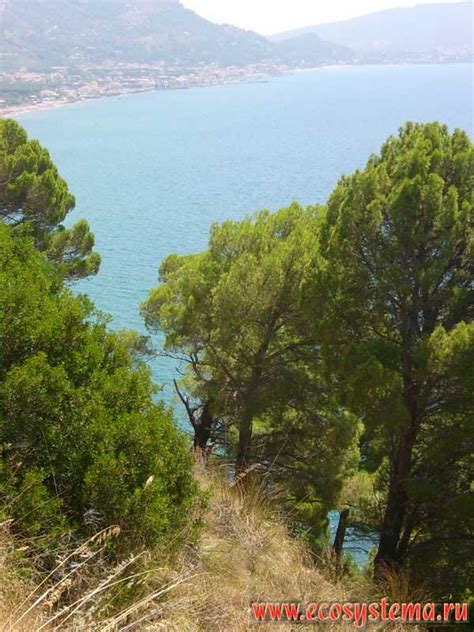 Вайземская провинция: Велен и окрестности