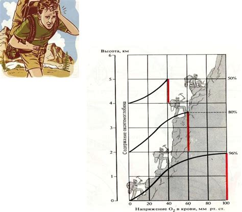 Влияние высоты на давление