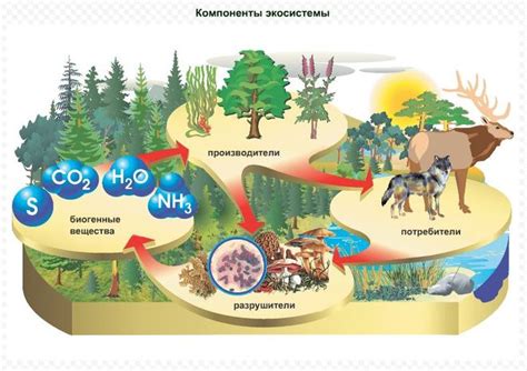 Влияние глупых динозавров на экосистему