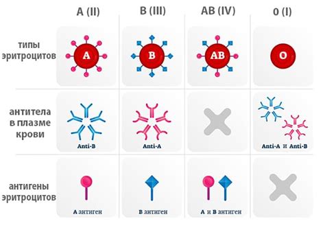 Влияние группы крови на сон и потребление воды с сахаром