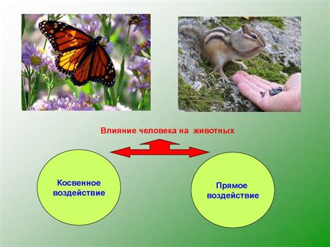 Влияние животных