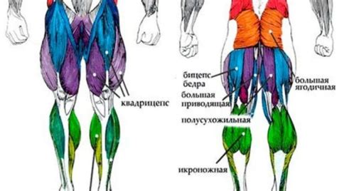 Влияние скалолазания на мышцы ног и ягодицы