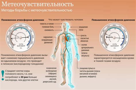 Влияние человека на давление на грунт: основные факторы