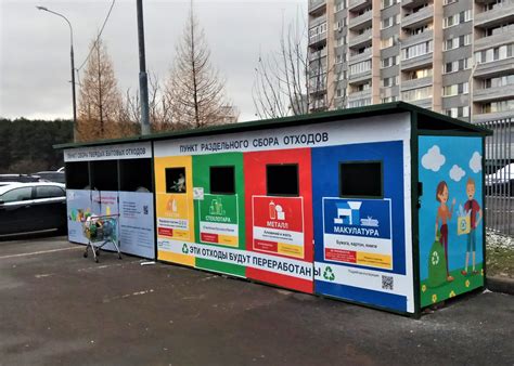 Выбор места для сбора ромашек