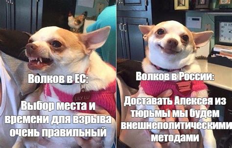 Выбор места для тюрьмы