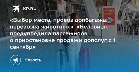 Выбор места продажи