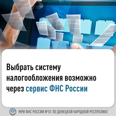 Выбор подходящего розмарина