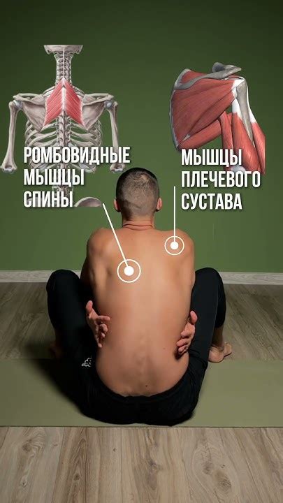 Выбор правильной расы: как уложить всех врагов на лопатки