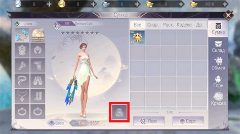 Гайд по ассасину в Perfect World Mobile