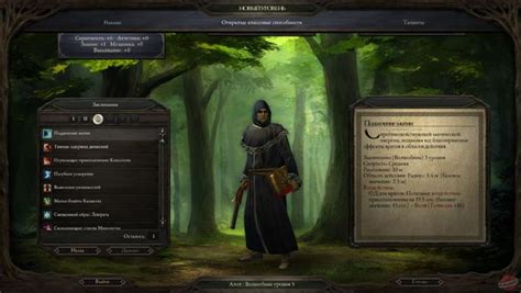 Гайд по волшебникам в Pillars of Eternity