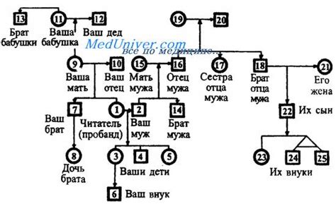 Генеалогический анализ фамилии Горкун