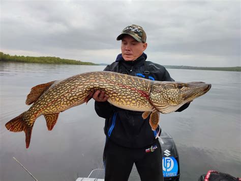 Гигантская щука Гризц