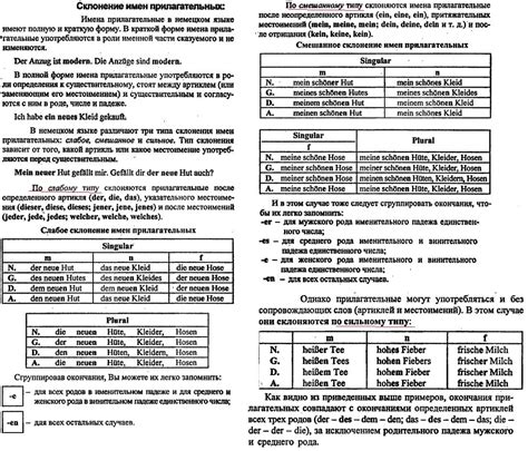 Грамматика склонения фамилии Мицай