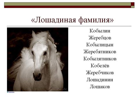 Древнегерманская фамилия