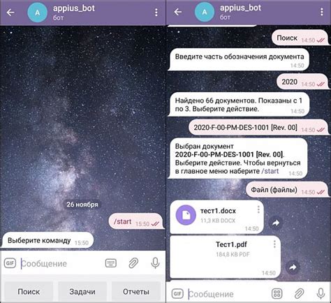 Запуск бота и его основные функции