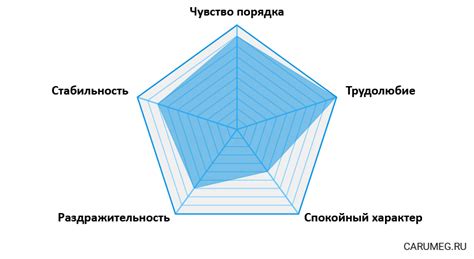 Значение имени Сердар