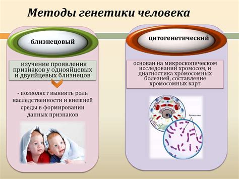 Значение фамилии Кучура для генеалогического исследования