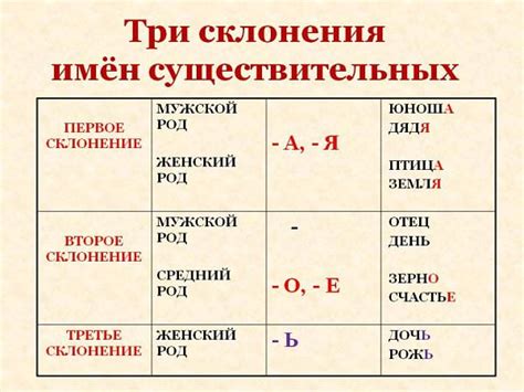 Значение фамилии Тордия в деталях с примерами склонения