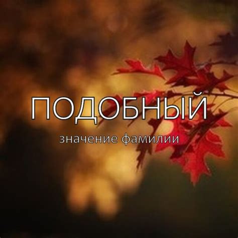 Значение фамилии Шарга в современном мире