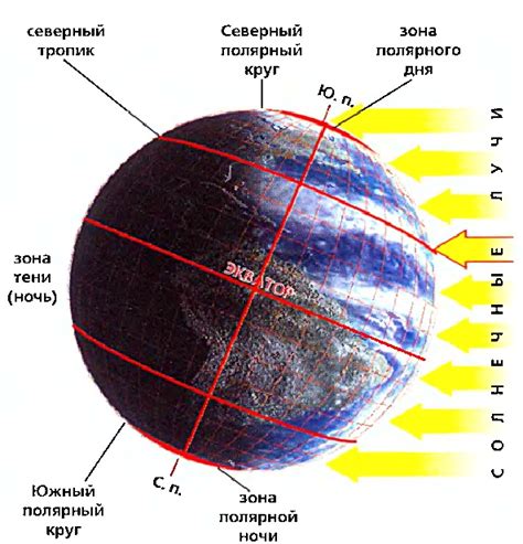 Избегание солнечного света и сбор ингредиентов