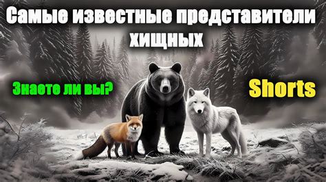 Известные представители