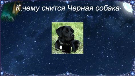 Изучите окружение
