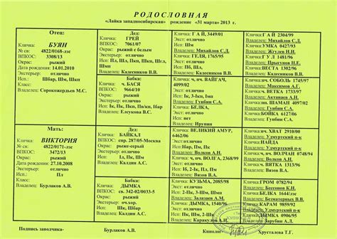 Имена, отражающие характер орка