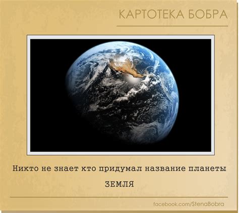 Интересные факты и забавные истории