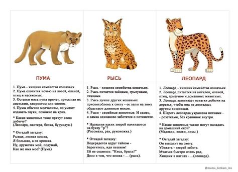 Интересные факты о притворстве мертворождения у животных