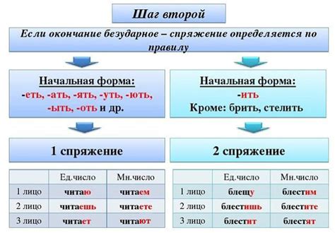 Исключения в склонении фамилии Ашенбреннер