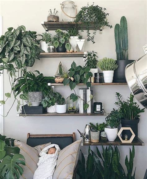 Использование растений в дизайне