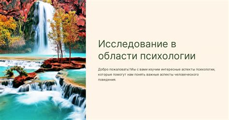 Исследование области "Каменные пределы"