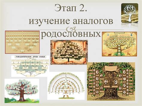 История родословной