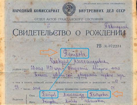 История фамилии Борзило