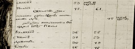 История фамилии Кукало