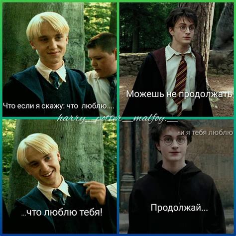 История фамилии Малфой