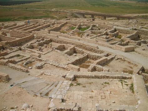 История фамилии Шева