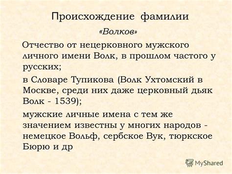История фамилии Штельма