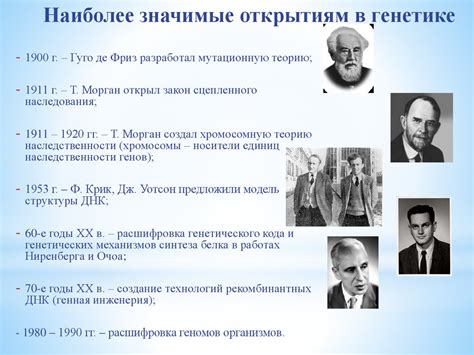 История фамилии и ее связь с Фландрией