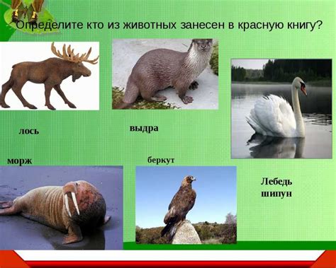 Какие животные рассматриваются в тесте