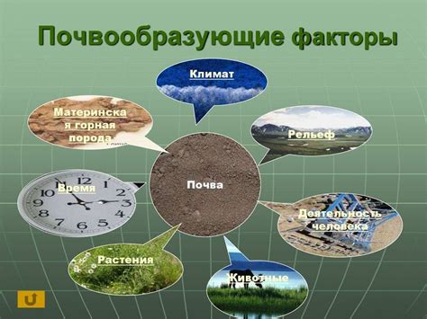 Какие факторы влияют на высоту падения