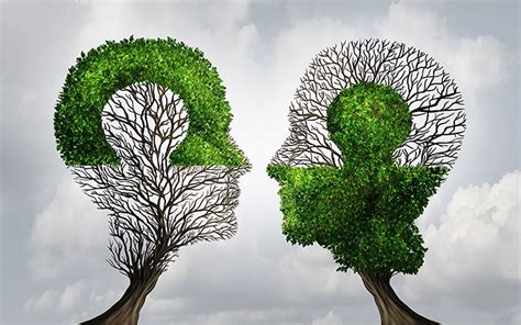 Какое влияние оказал проект на экологическое сознание общества